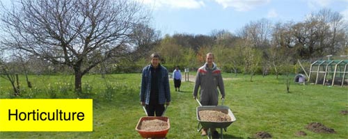 Horticulture