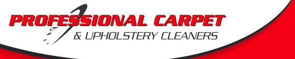 Professional Carpet Cleaners