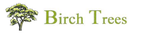Birch Tree